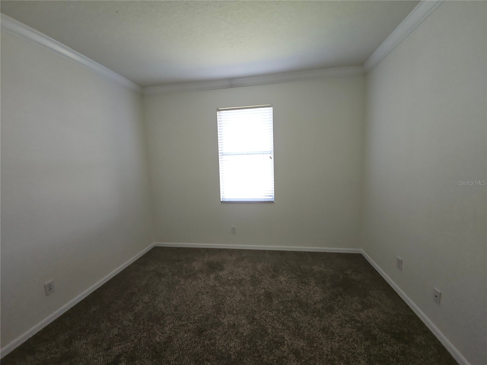 7209 Colonial Lake Drive Riverview FL 33578 TB8492319 image23
