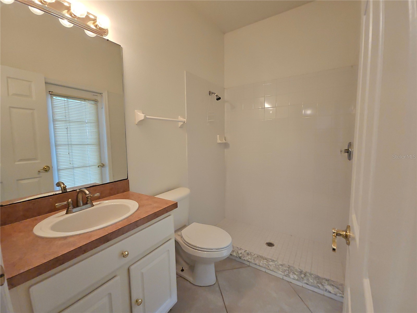 7209 Colonial Lake Drive Riverview FL 33578 TB8492319 image24