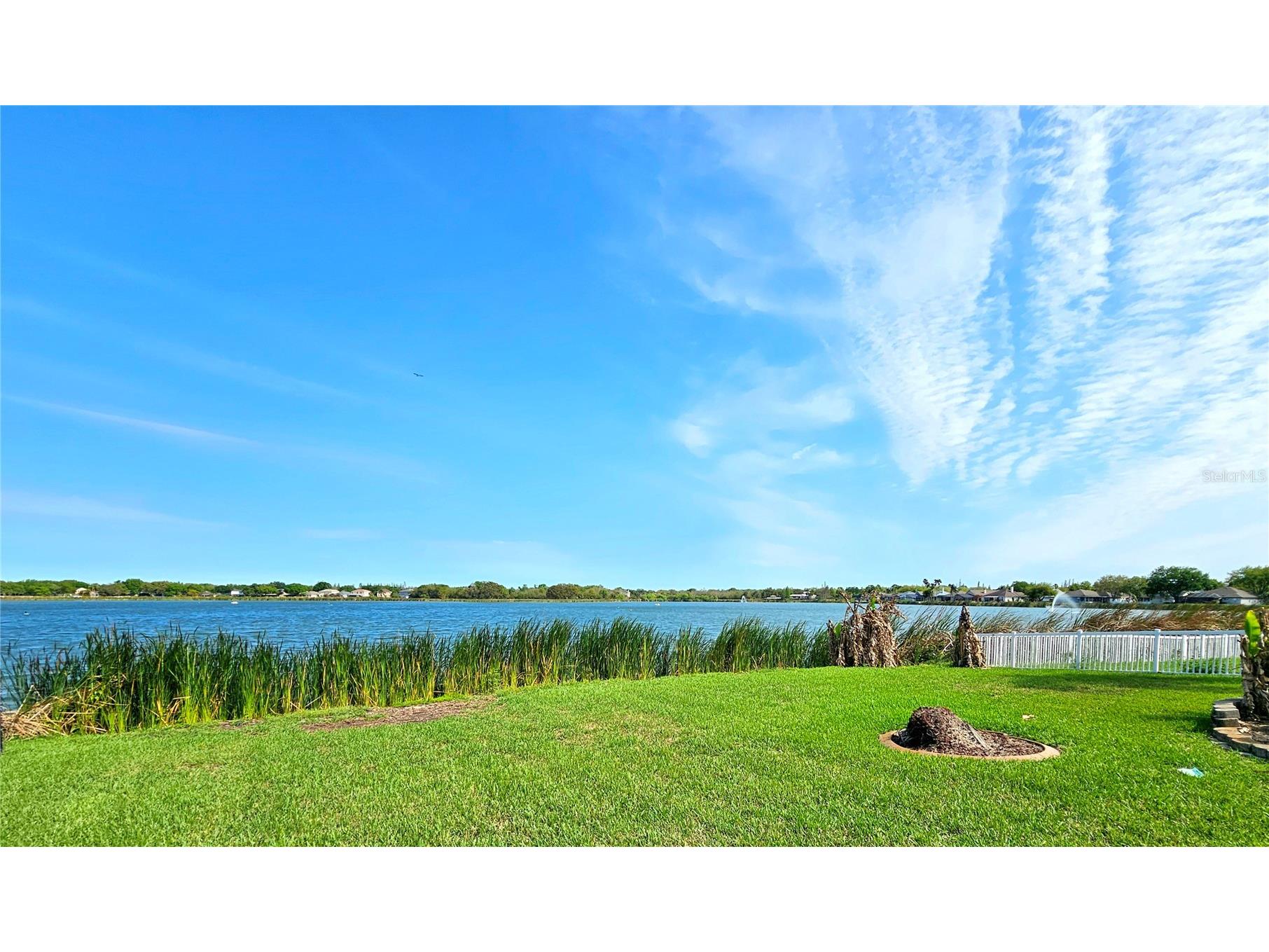 7209 Colonial Lake Drive Riverview FL 33578 TB8492319 image29