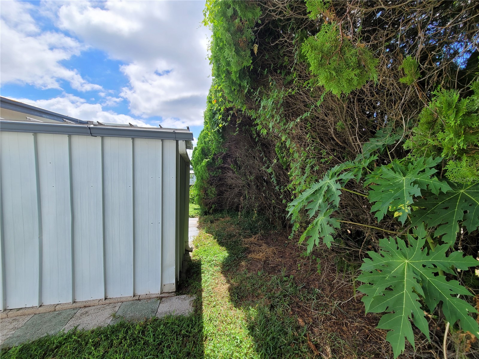 7209 El Meyers Street Zephyrhills FL 33541 TB8470825 image34