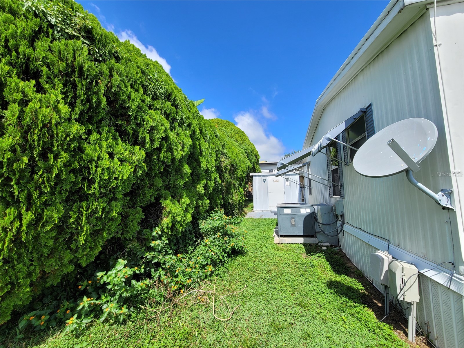 7209 El Meyers Street Zephyrhills FL 33541 TB8470825 image37