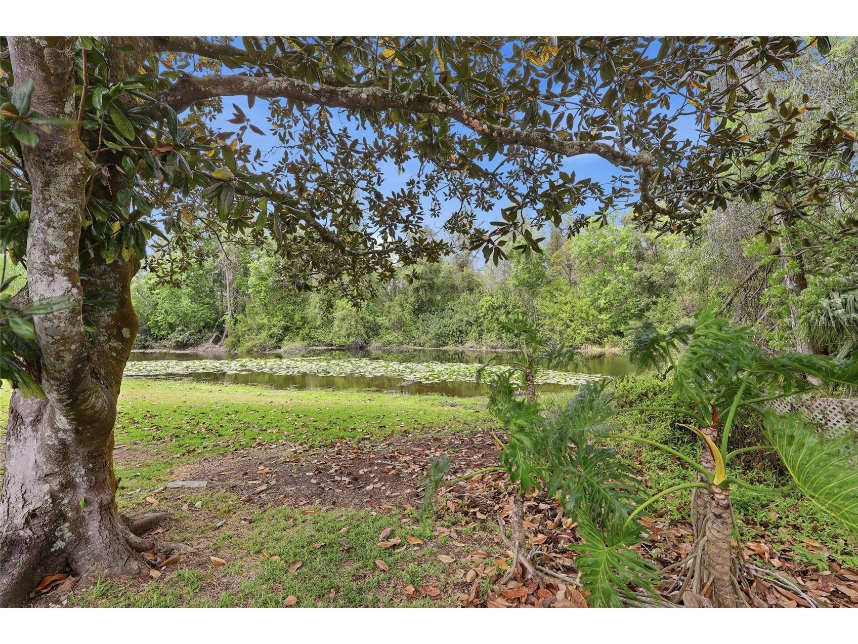 7209 Magnolia Valley Drive New Port Richey FL 34653 TB8486352 image20