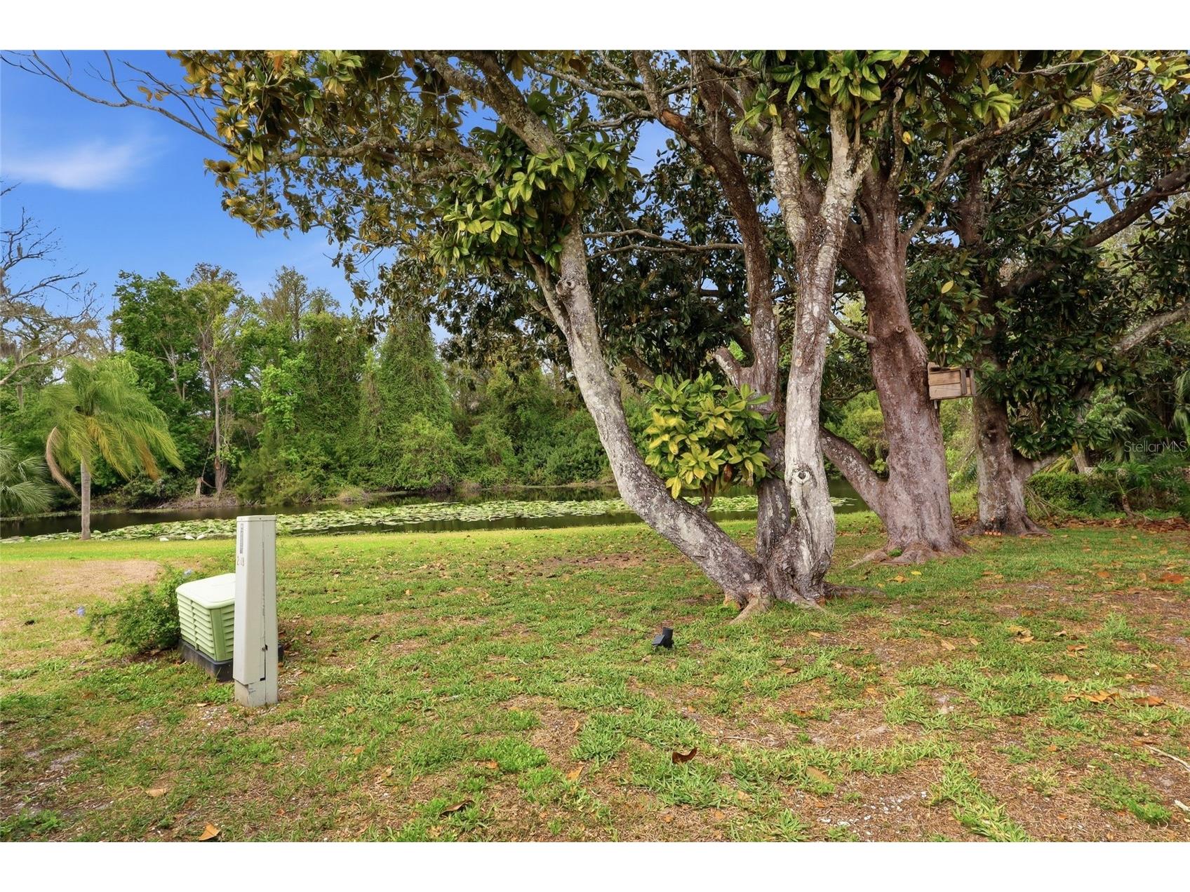7209 Magnolia Valley Drive New Port Richey FL 34653 TB8486352 image21