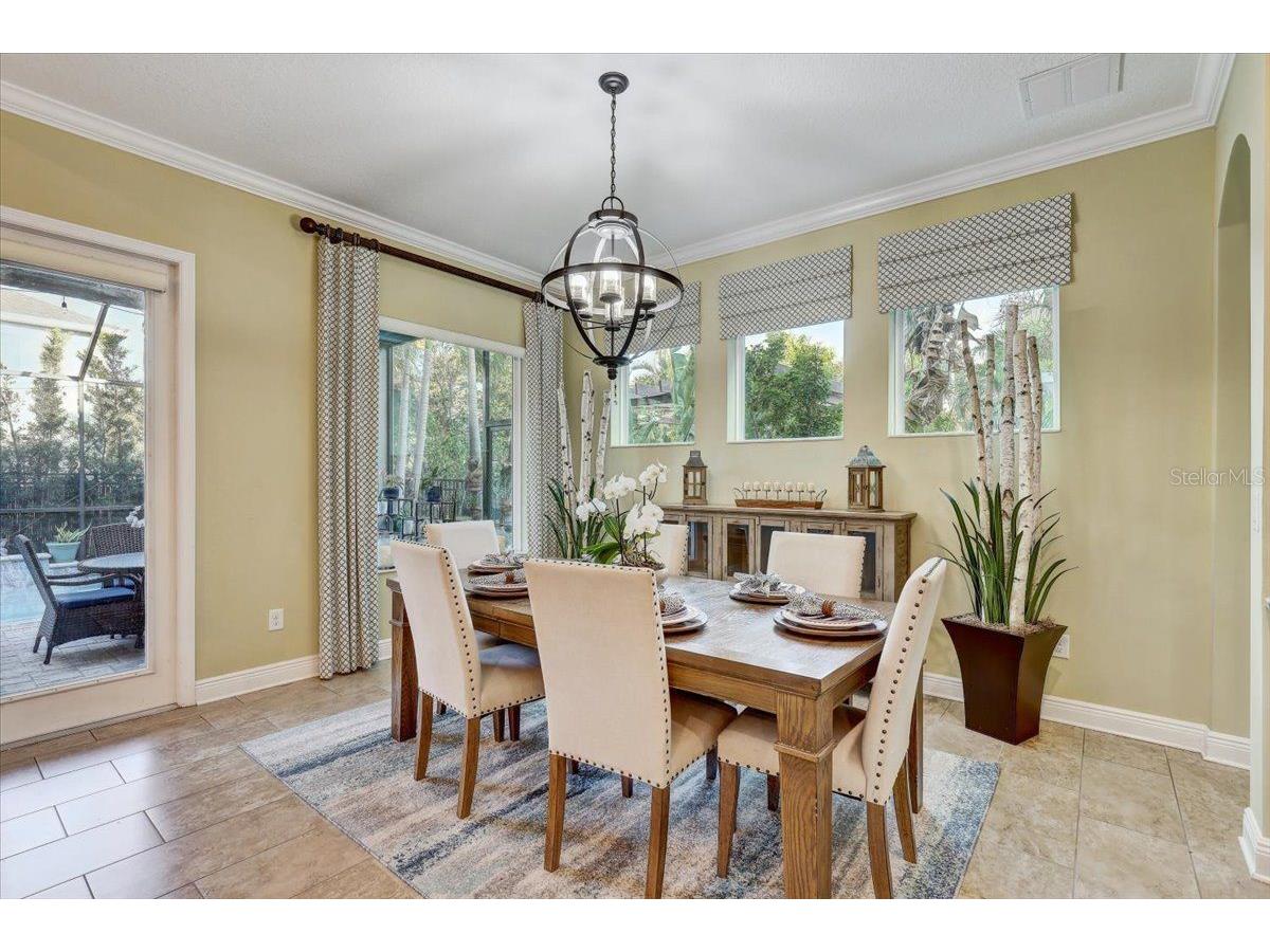 7209 Meeting House Lane Apollo Beach FL 33572 TB8532501 image13