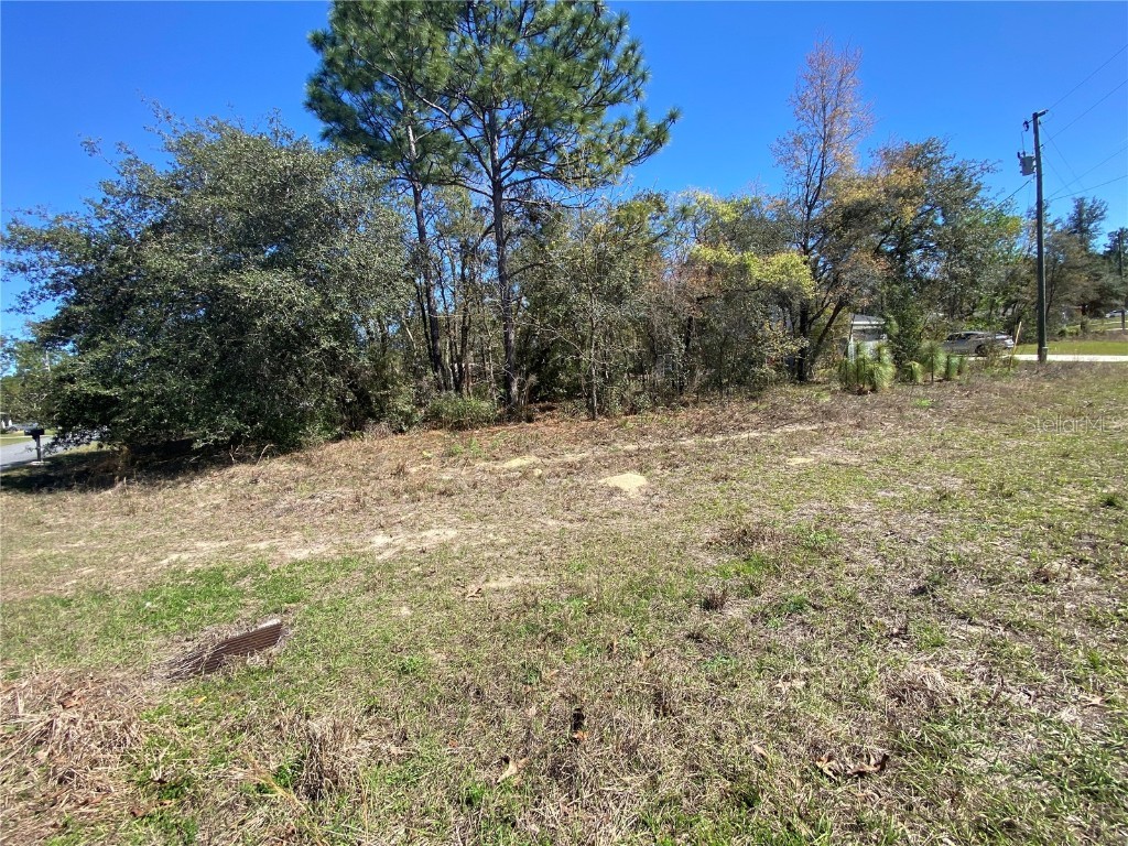 7209 N Galt Point Citrus Springs FL 34434 TB8400972 image1