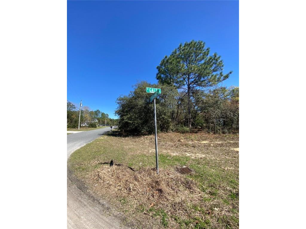 7209 N Galt Point Citrus Springs FL 34434 TB8400972 image3