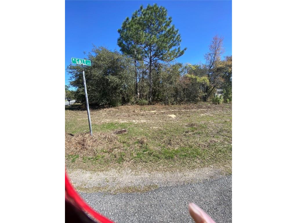 7209 N Galt Point Citrus Springs FL 34434 TB8400972 image4