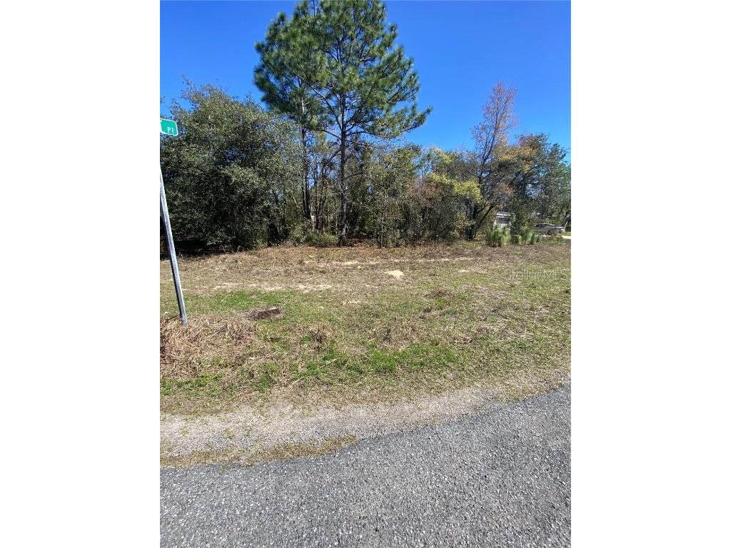 7209 N Galt Point Citrus Springs FL 34434 TB8400972 image5