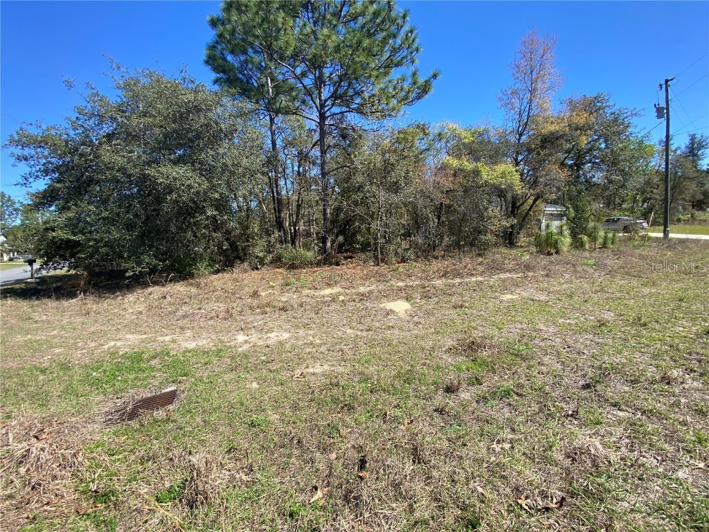 7209 N Galt Point Citrus Springs FL 34434 TB8400972 image6