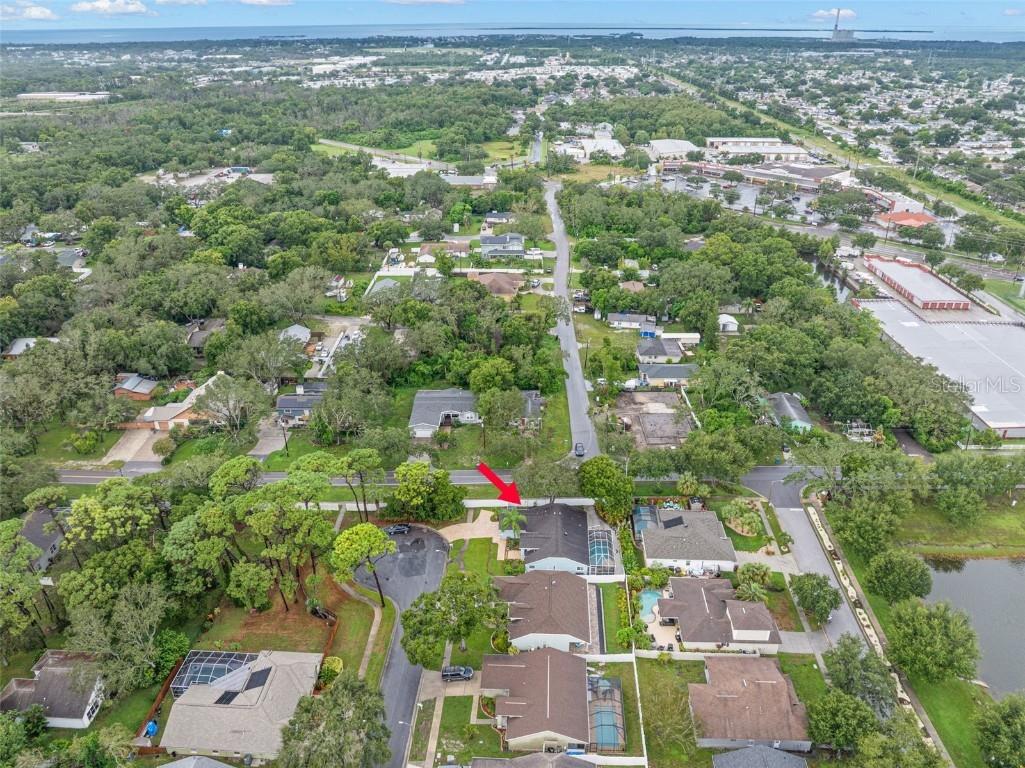 721 Brittany Park Boulevard Tarpon Springs FL 34689 TB8421735 image43