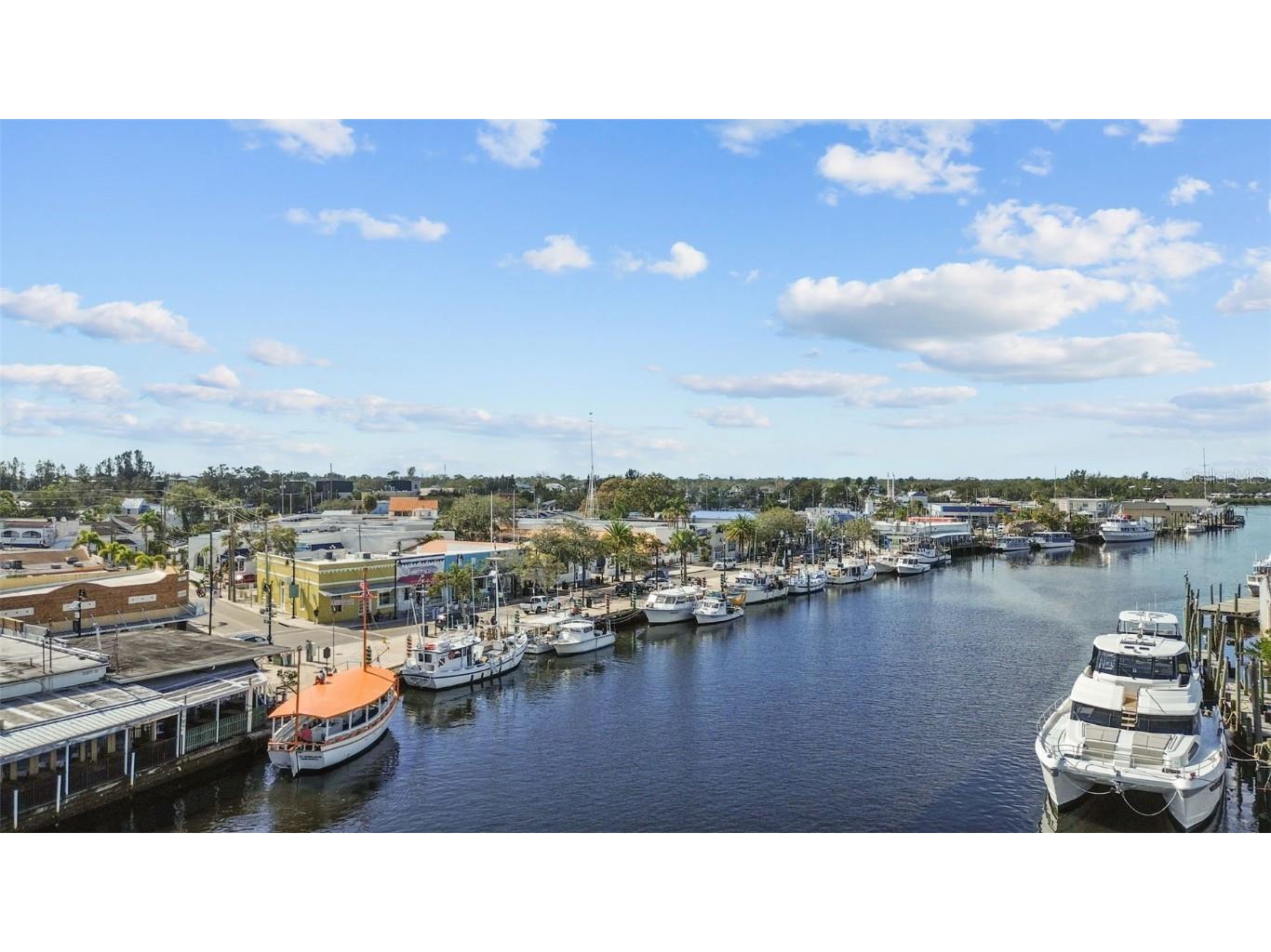 721 Brittany Park Boulevard Tarpon Springs FL 34689 TB8421735 image46