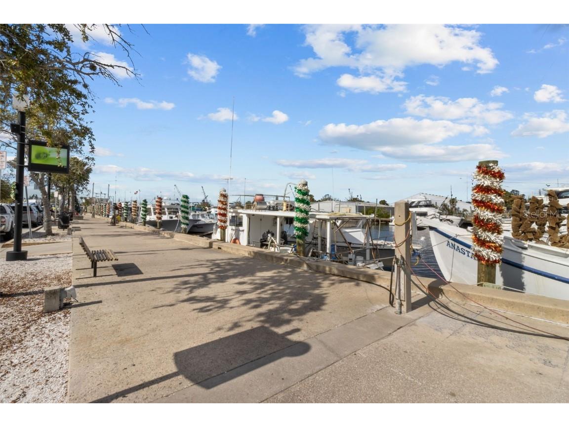 721 Brittany Park Boulevard Tarpon Springs FL 34689 TB8421735 image47