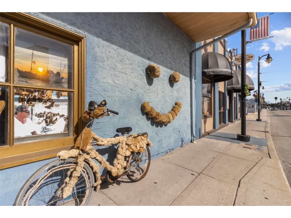 721 Brittany Park Boulevard Tarpon Springs FL 34689 TB8421735 image50