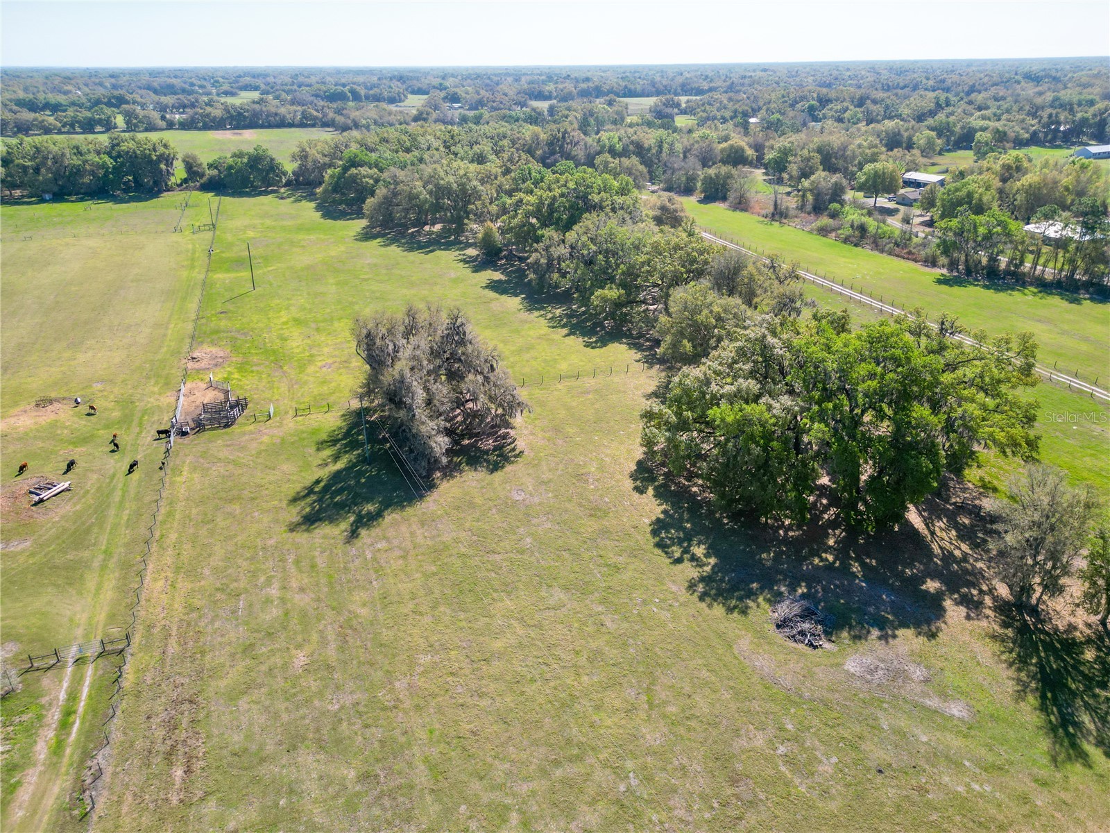 721 Cr 721 Webster FL 33597 G5109567 image1