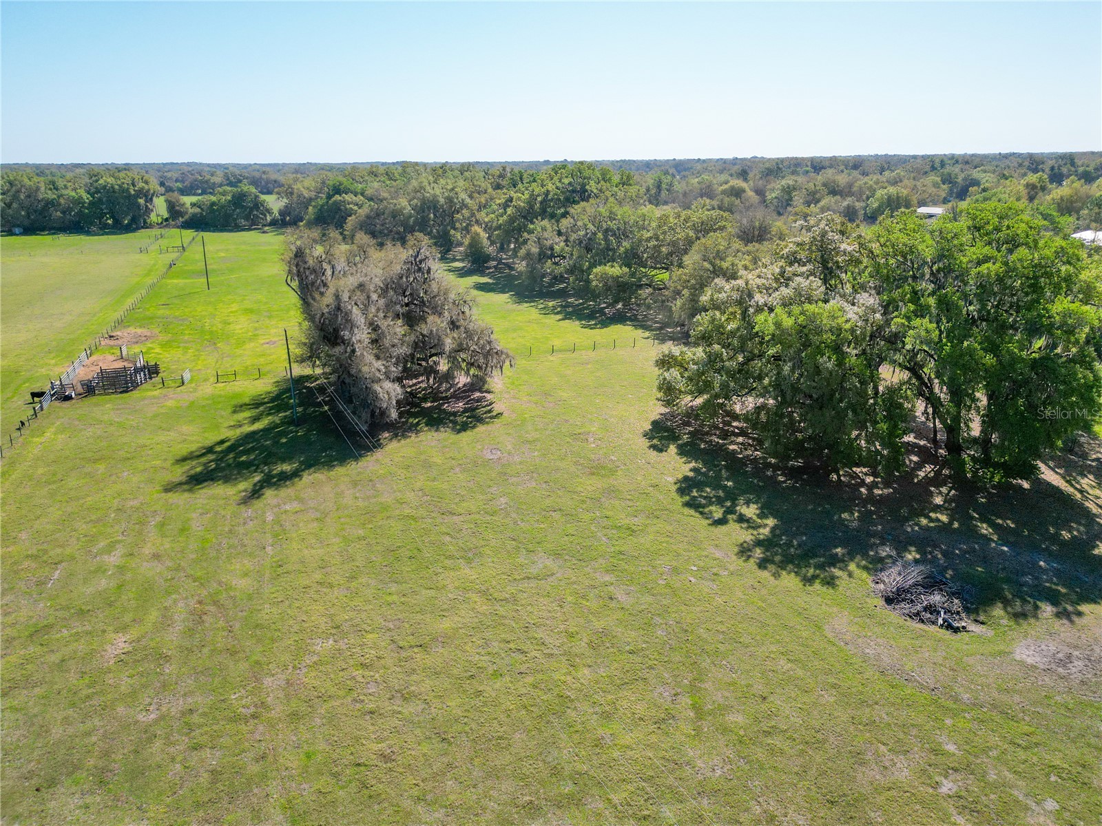 721 Cr 721 Webster FL 33597 G5109567 image13