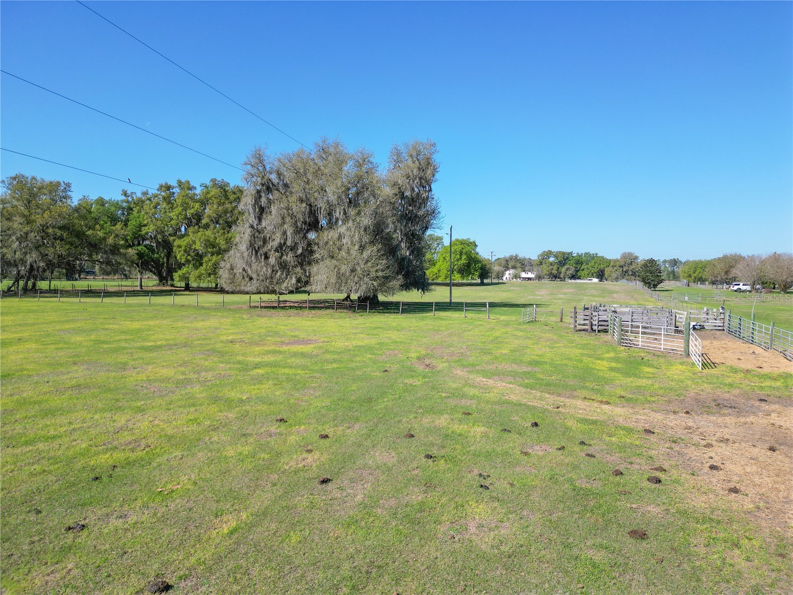721 Cr 721 Webster FL 33597 G5109567 image6
