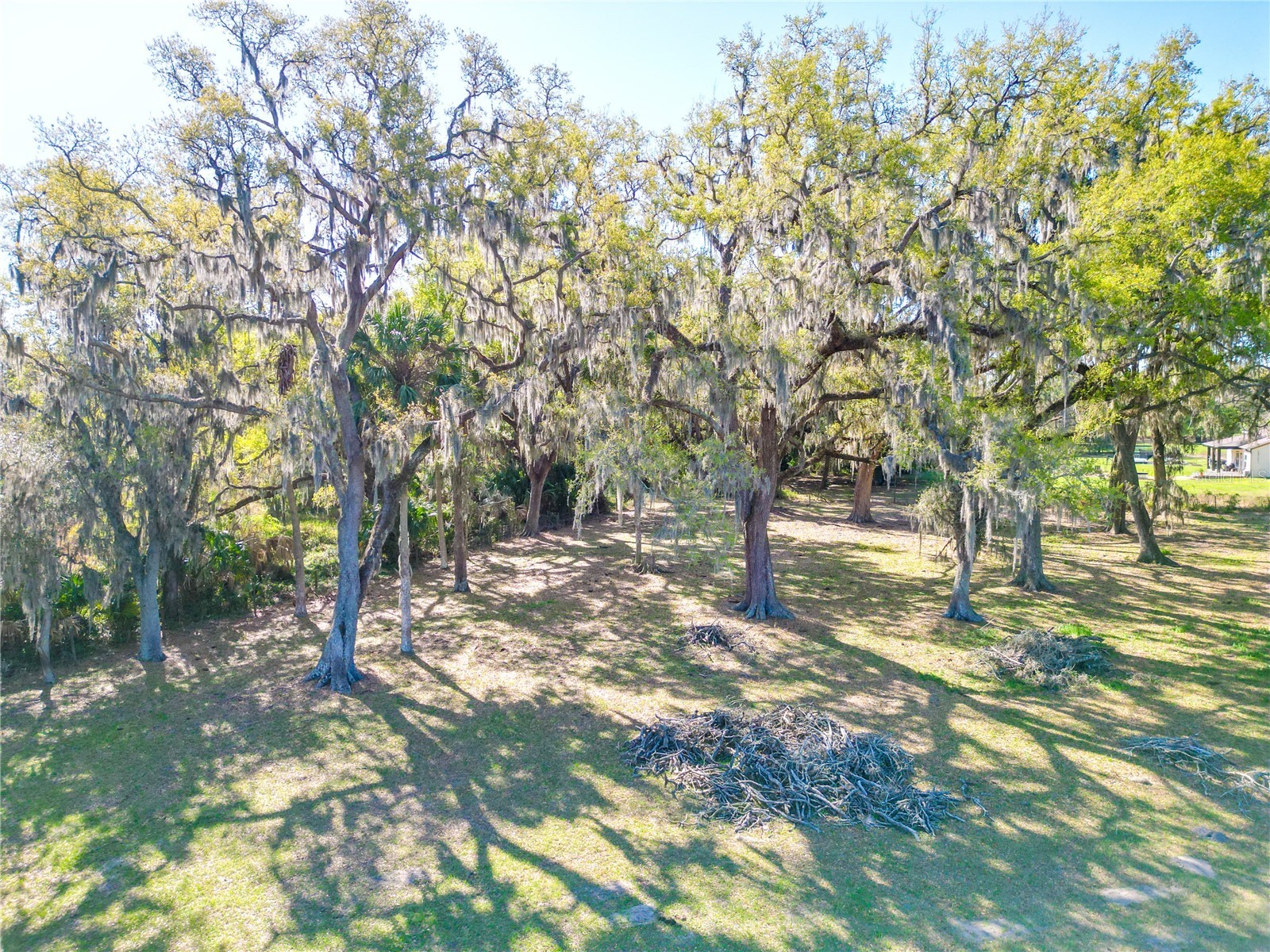 721 Cr 721 Webster FL 33597 G5109567 image8