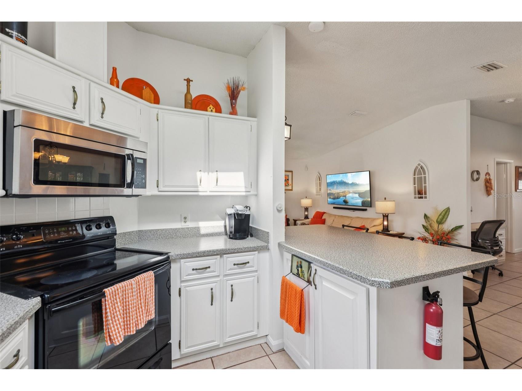 721 Heathrow Avenue The Villages FL 32159 G5107401 image13