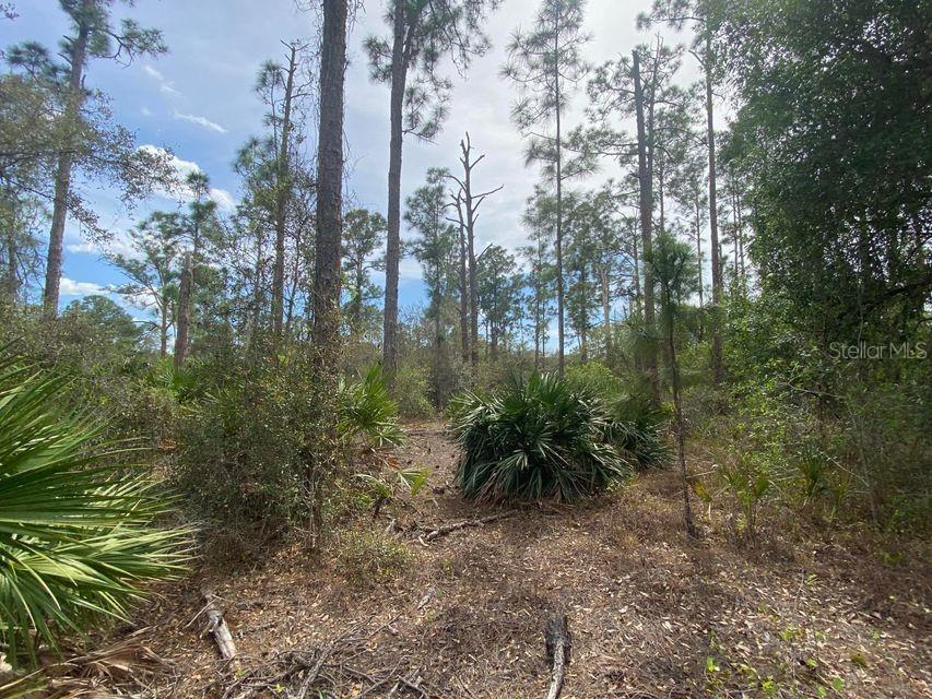 721 Louis Avenue Lehigh Acres FL 33972 OK221823 image1