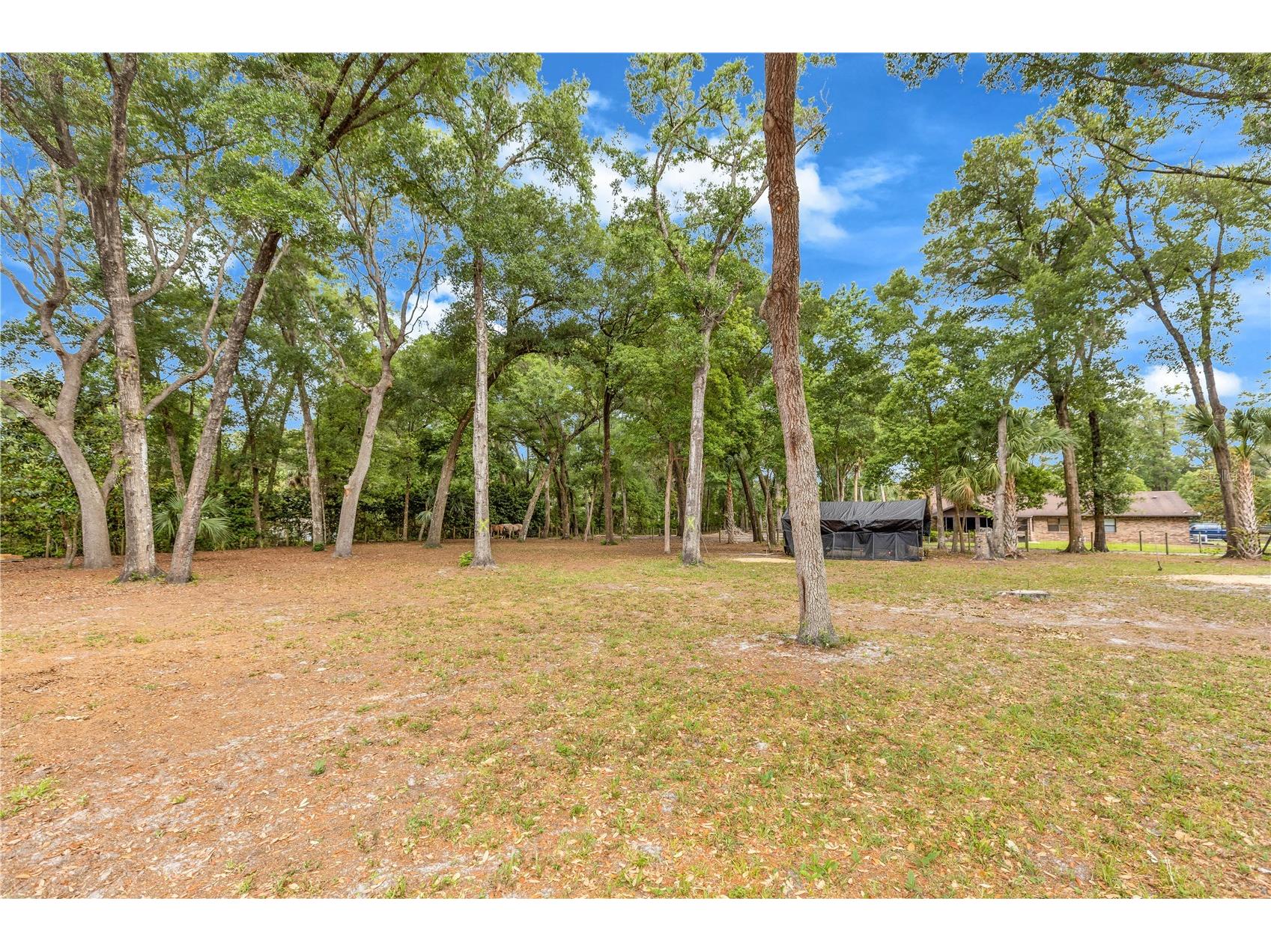 721 Mcgregor Road Deland FL 32720 V4948990 image40