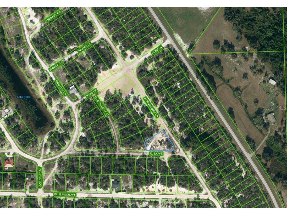 721 Morningside Drive Lake Placid FL 33852 OM624253 image1