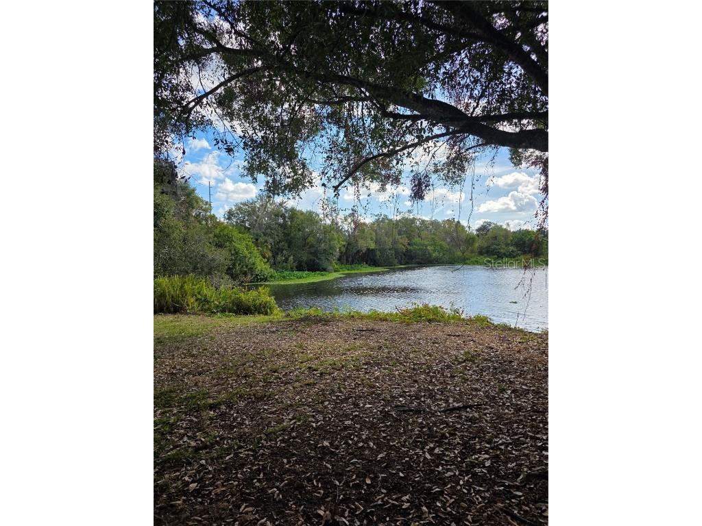 721 Redondo Drive Brandon FL 33511 TB8454763 image2