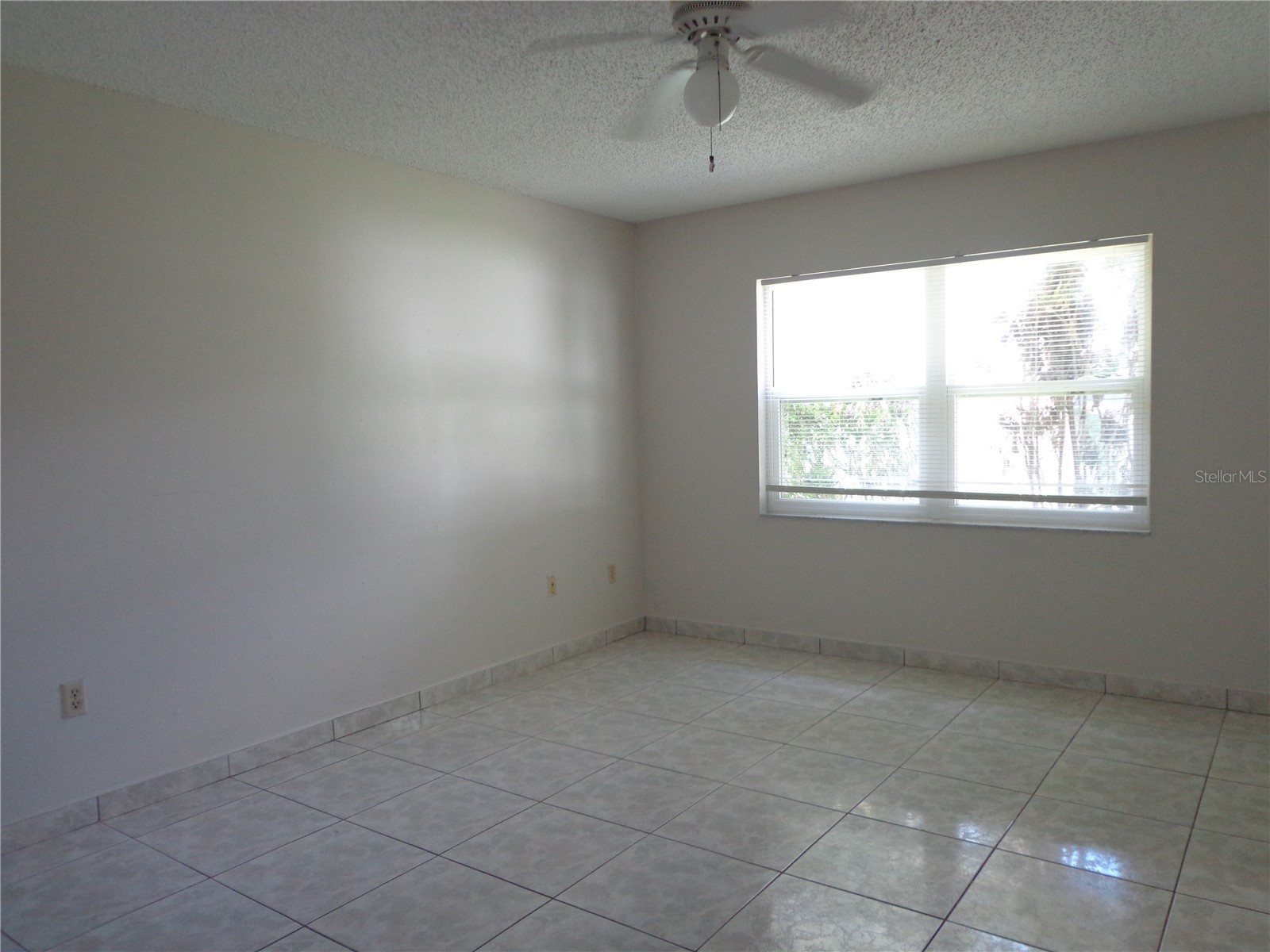 721 Regent Circle S Brandon FL 33511 TB8517036 image7