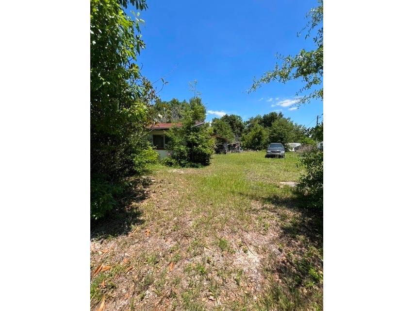 727 S Washington Avenue Apopka FL 32703 C7527408 image4