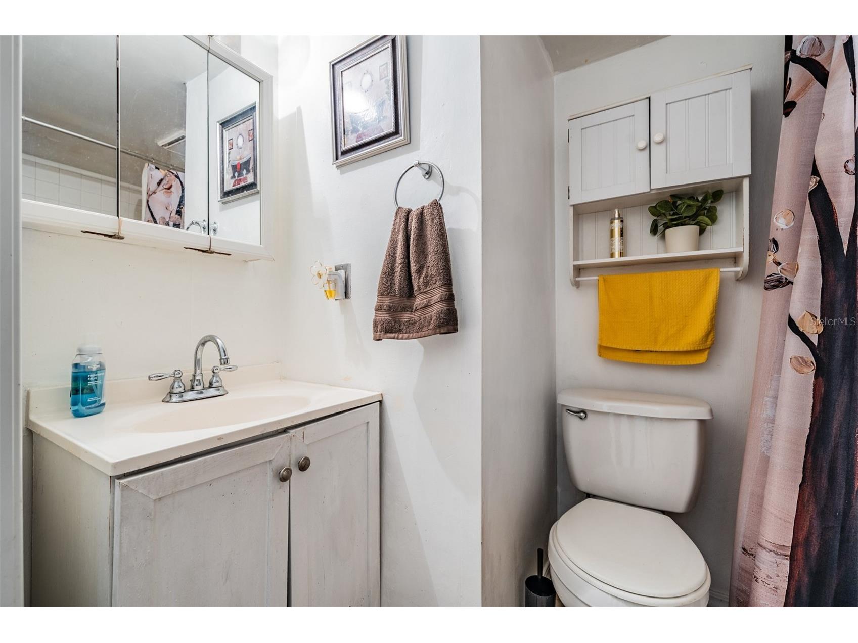 7210 N Manhattan Avenue #1913 Tampa FL 33614 TB8498234 image24