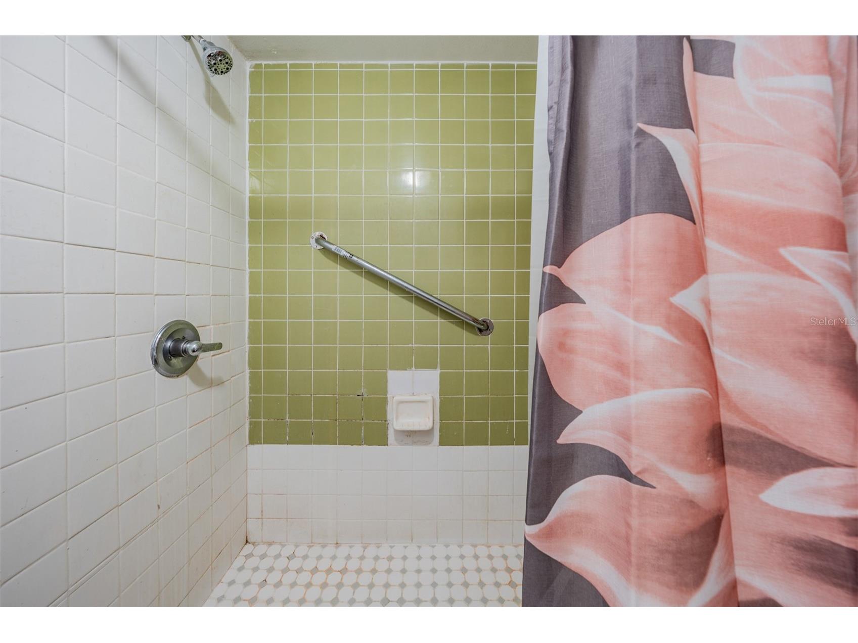 7210 N Manhattan Avenue #1913 Tampa FL 33614 TB8498234 image25