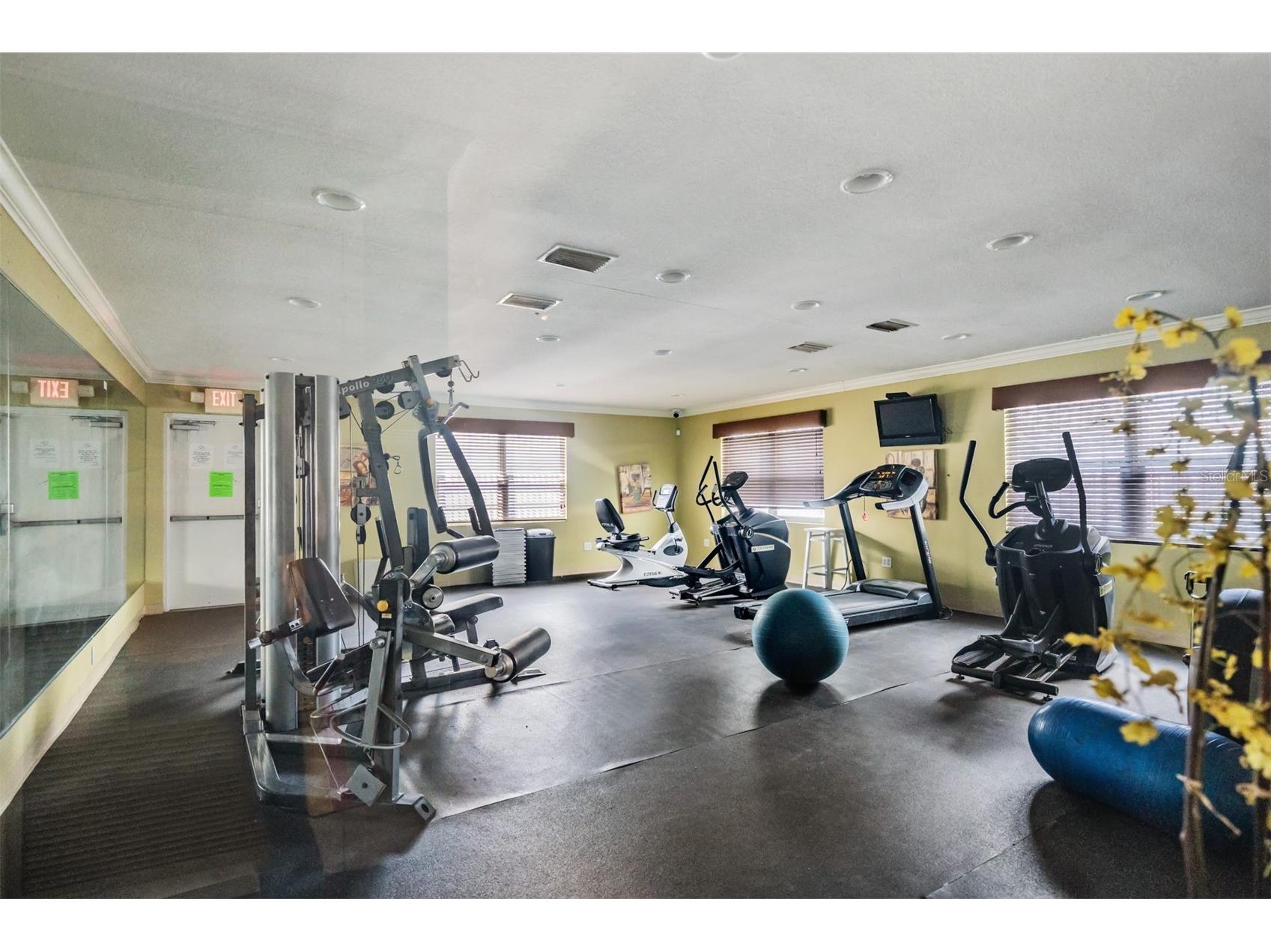 7210 N Manhattan Avenue #1913 Tampa FL 33614 TB8498234 image37