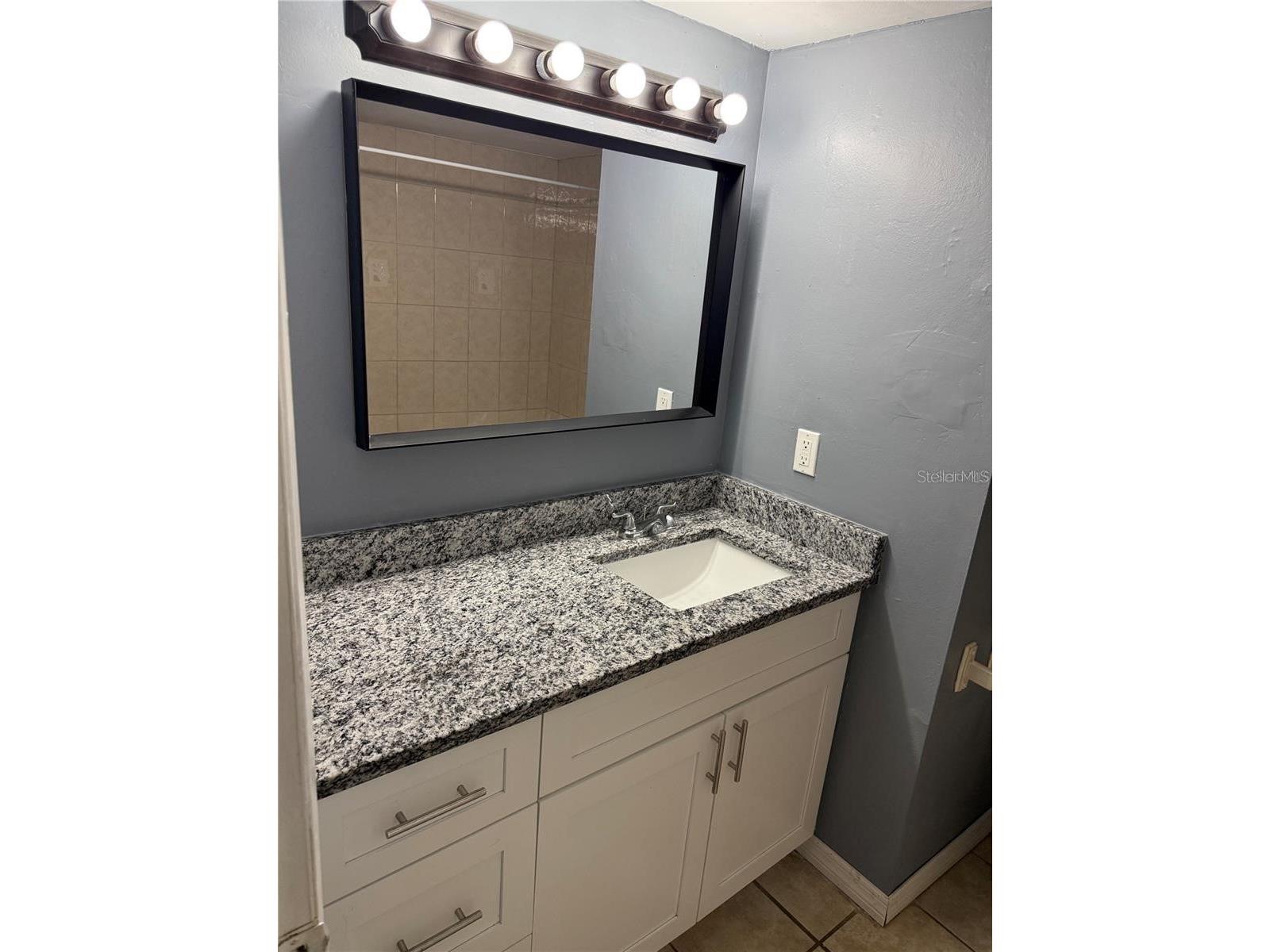7210 N Manhattan Avenue #2011 Tampa FL 33614 S5148115 image3