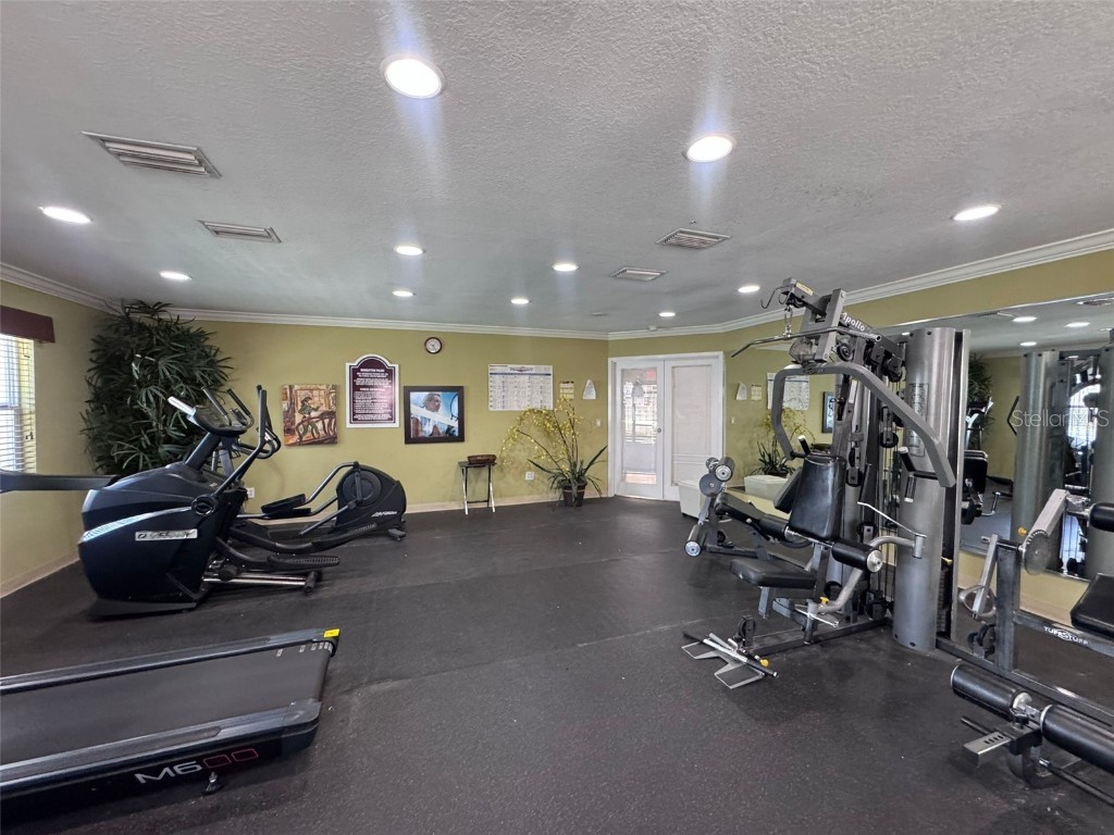 7210 N Manhattan Avenue #2423 Tampa FL 33614 TB8408025 image32