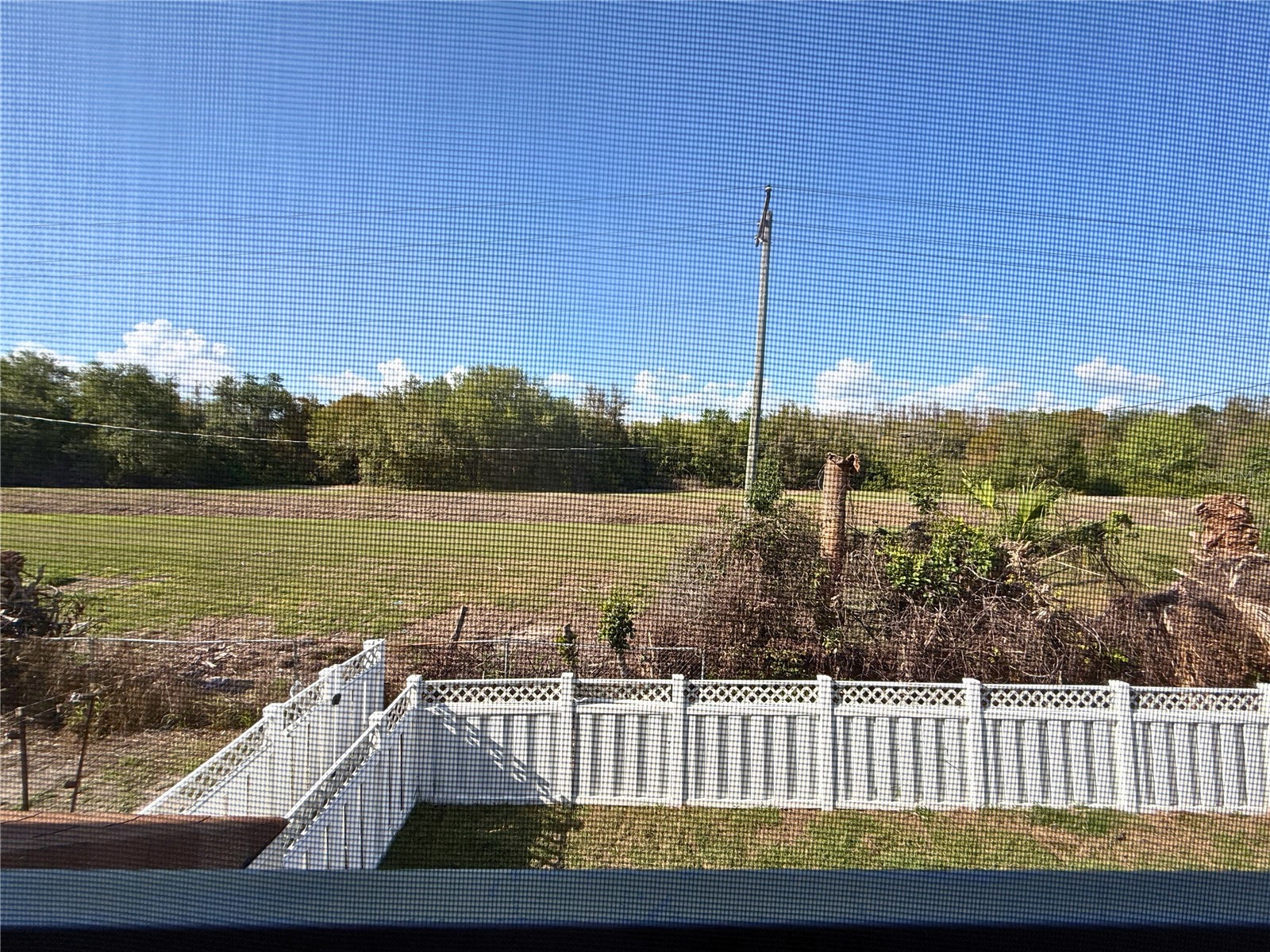7210 N Manhattan Avenue #2524 Tampa FL 33614 TB8484177 image33