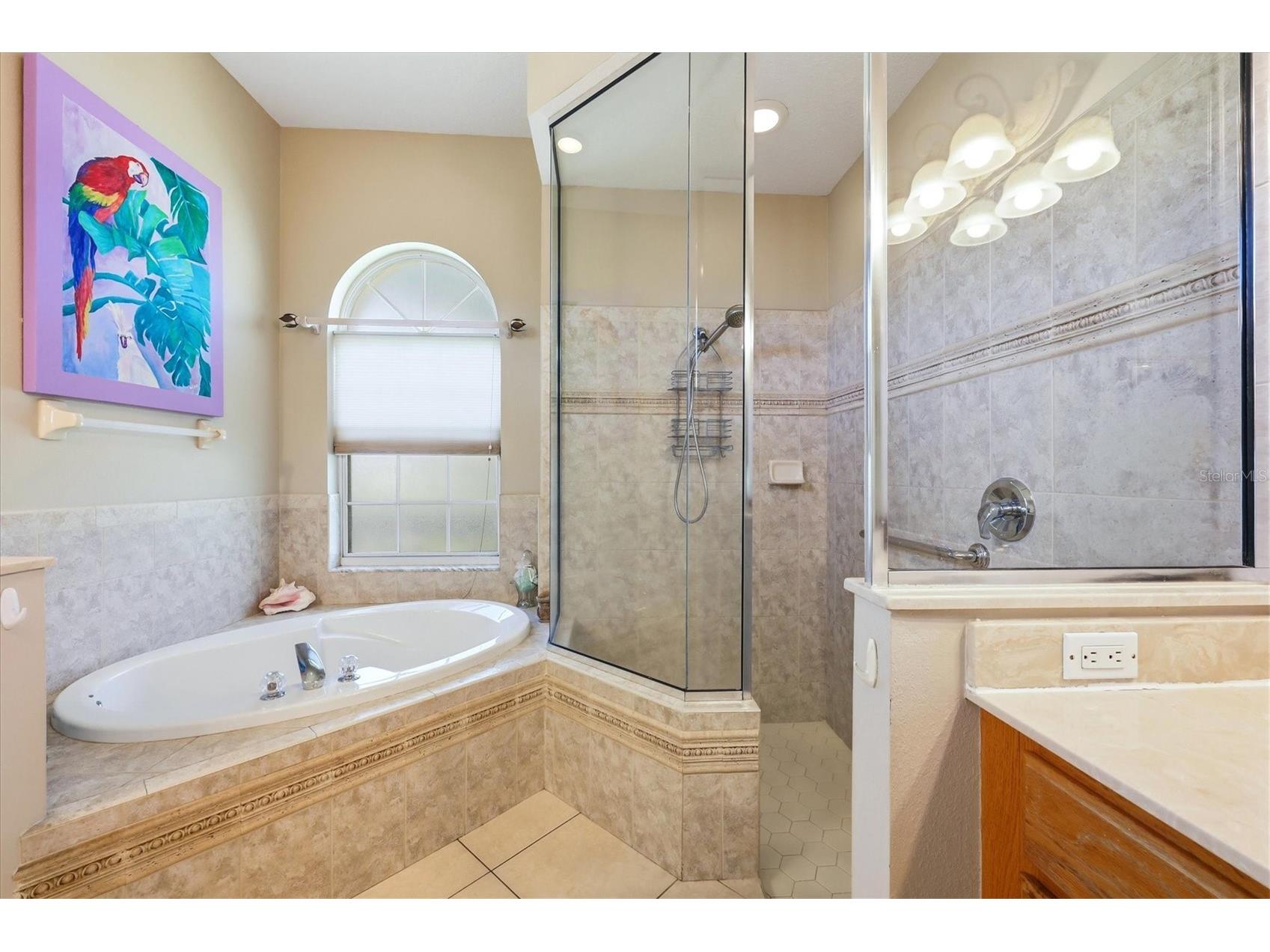 7210 Switchgrass Trail Lakewood Ranch FL 34202 A4690947 image20