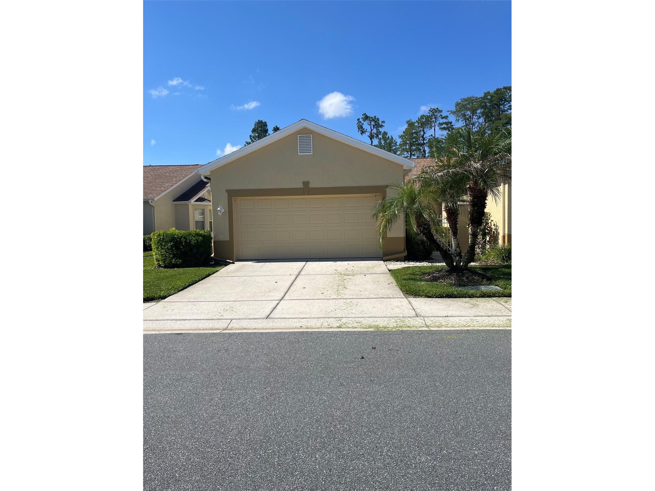 7211 Cleopatra Drive Land O Lakes FL 34637 W7886112 image1