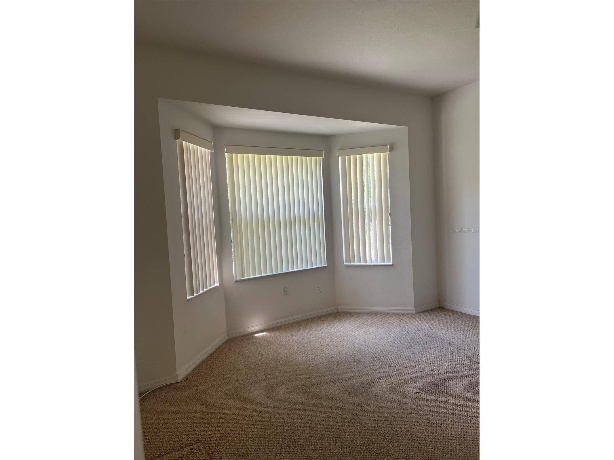7211 Cleopatra Drive Land O Lakes FL 34637 W7886112 image14