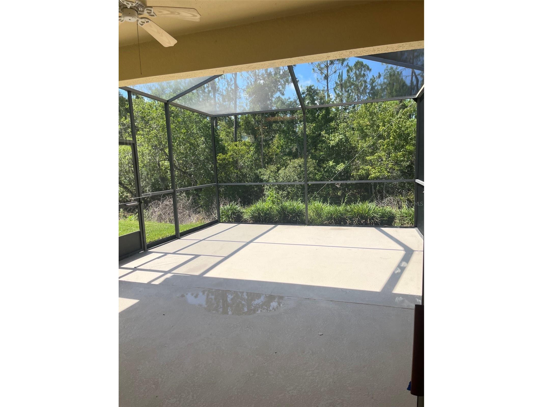 7211 Cleopatra Drive Land O Lakes FL 34637 W7886112 image19
