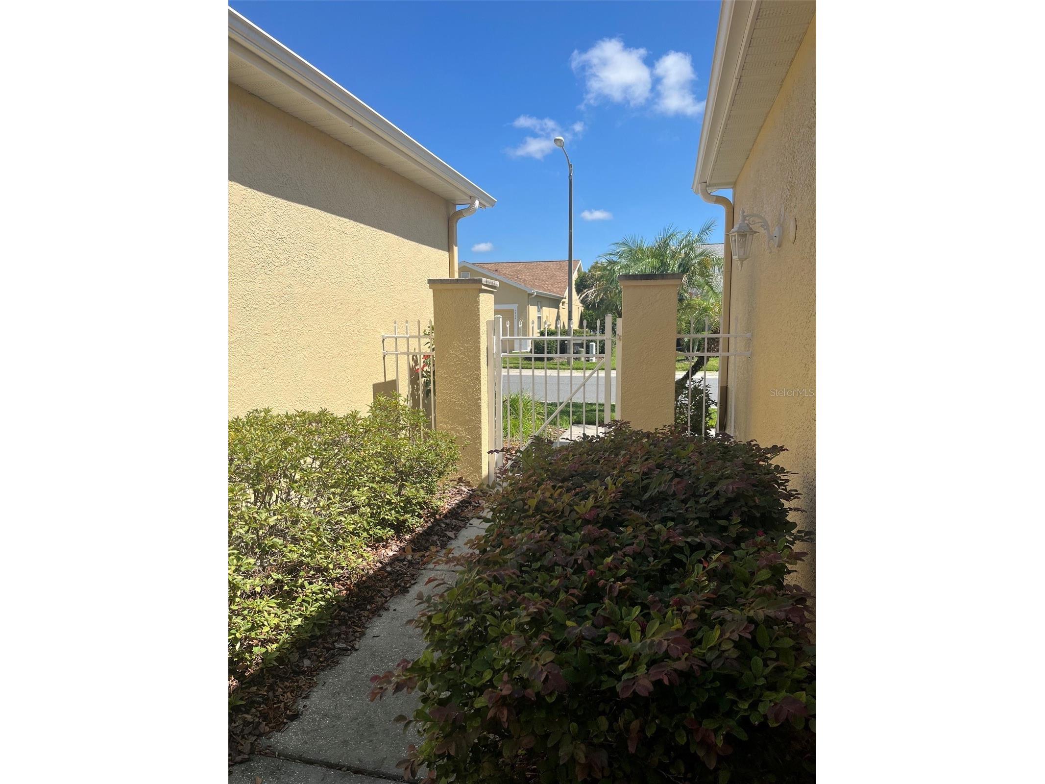 7211 Cleopatra Drive Land O Lakes FL 34637 W7886112 image2