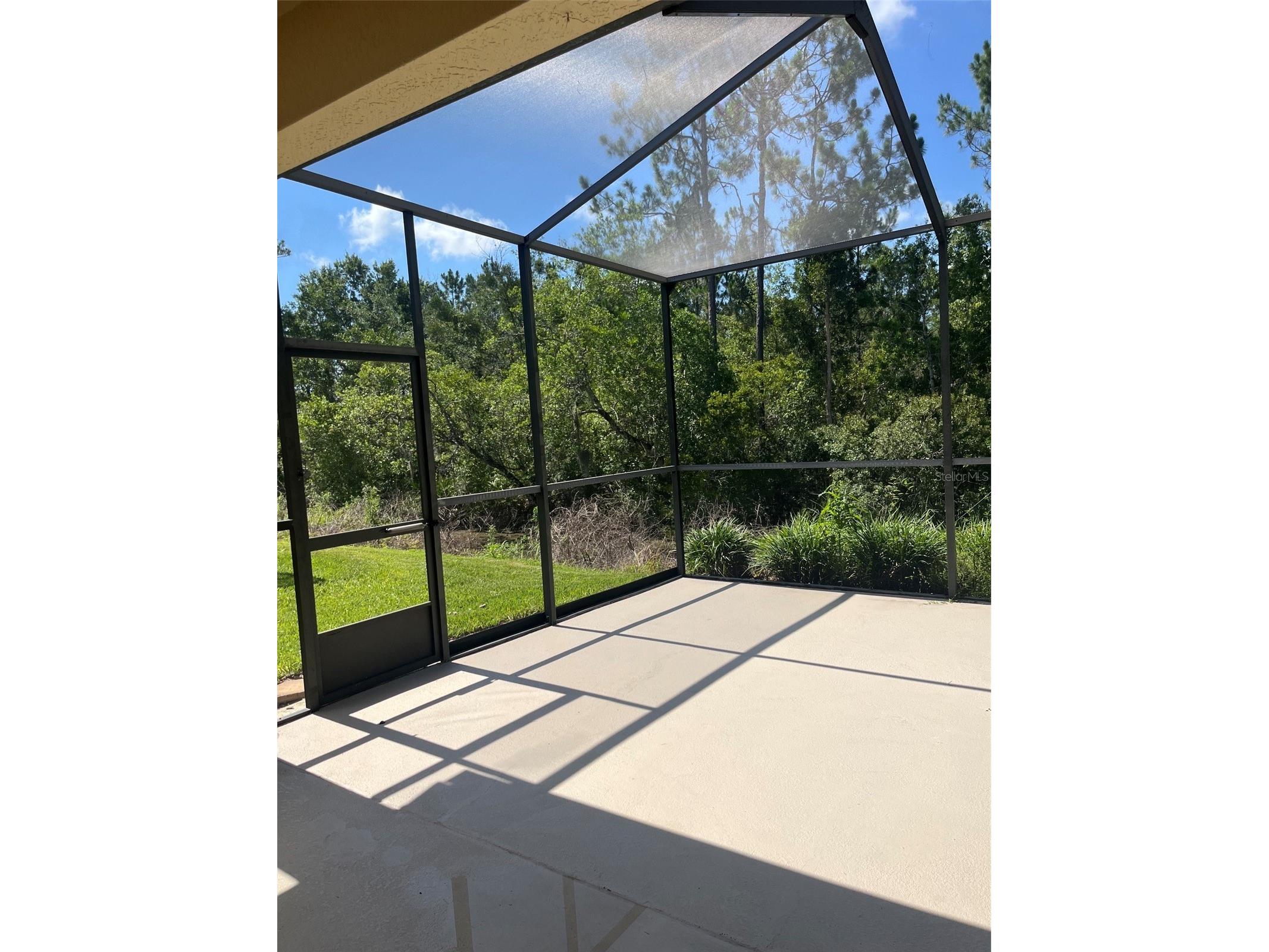 7211 Cleopatra Drive Land O Lakes FL 34637 W7886112 image20