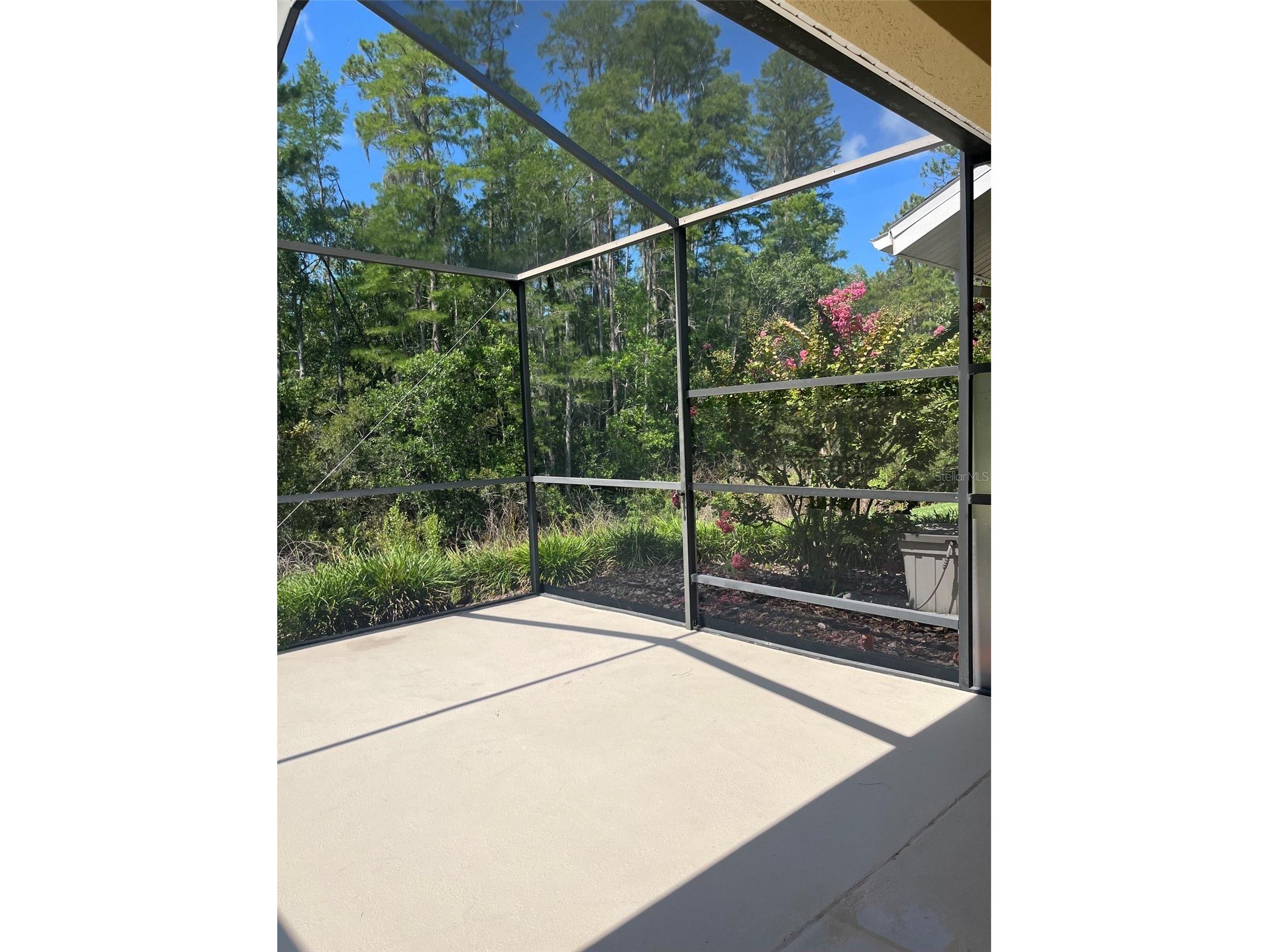 7211 Cleopatra Drive Land O Lakes FL 34637 W7886112 image21