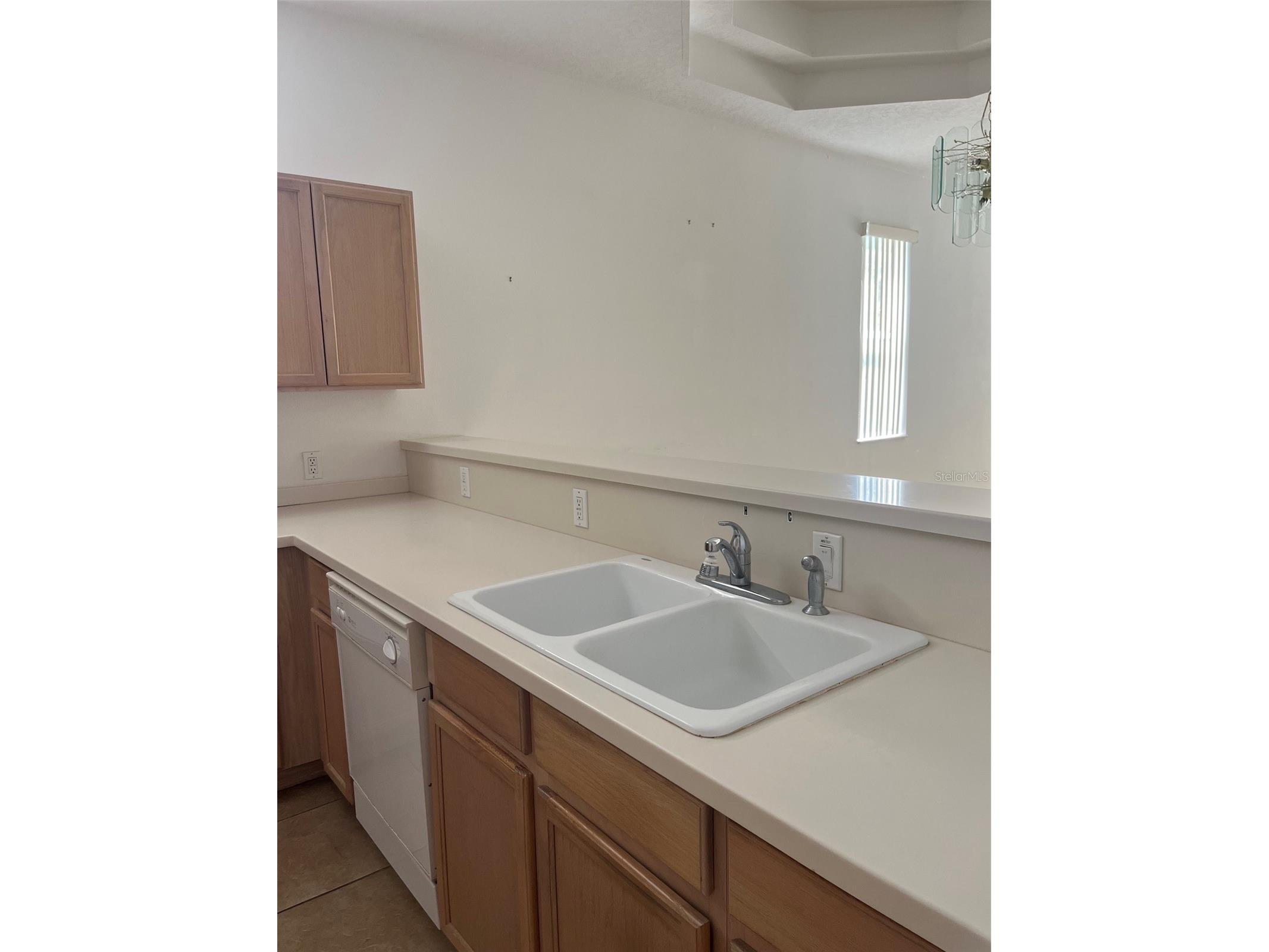 7211 Cleopatra Drive Land O Lakes FL 34637 W7886112 image5