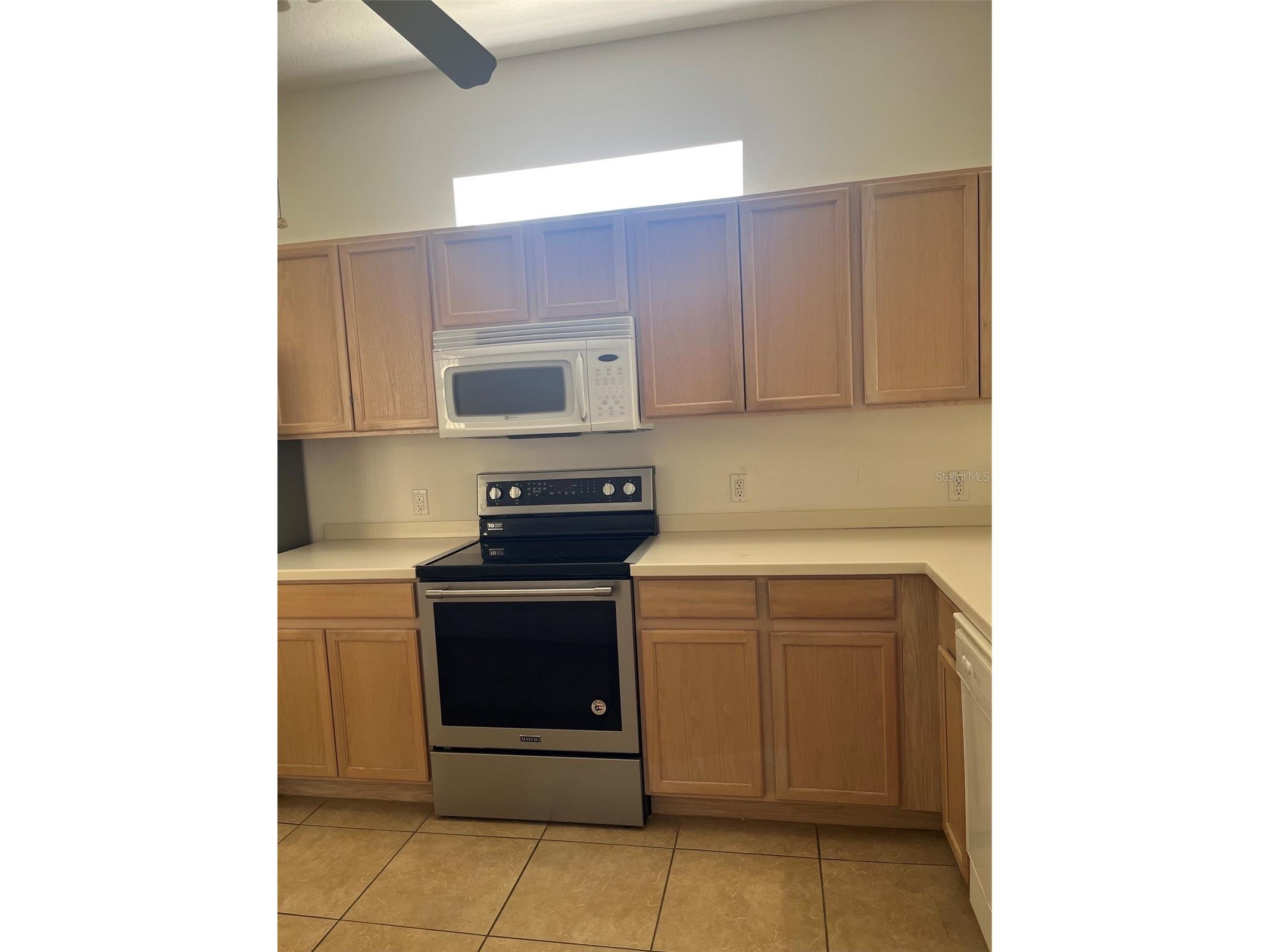 7211 Cleopatra Drive Land O Lakes FL 34637 W7886112 image7