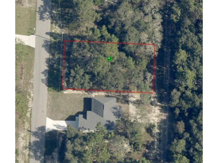 7211 N Outlook Way Citrus Springs FL 34433 T3459023 image1