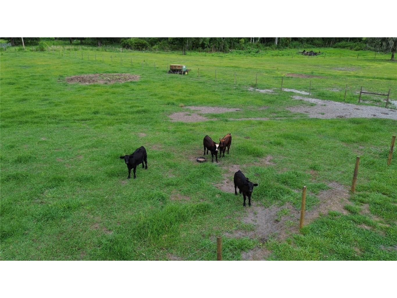 7211 SW Grove Drive Arcadia FL 34266 C7512778 image10