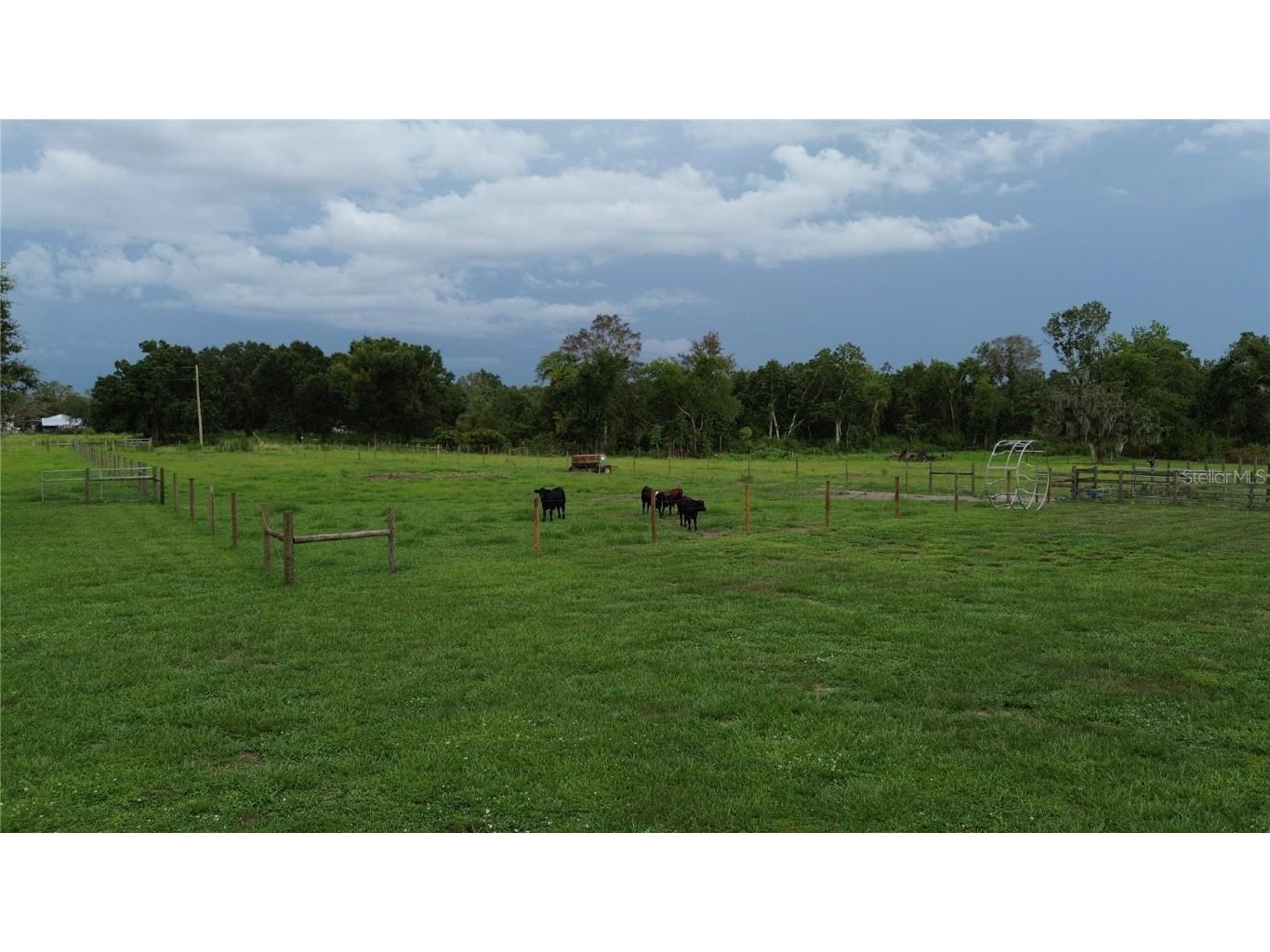 7211 SW Grove Drive Arcadia FL 34266 C7512778 image11