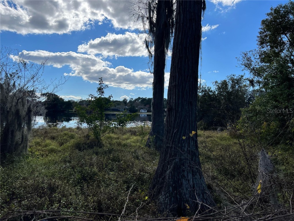 7212 Cypress Lake Drive Odessa FL 33556 T3352930 image1