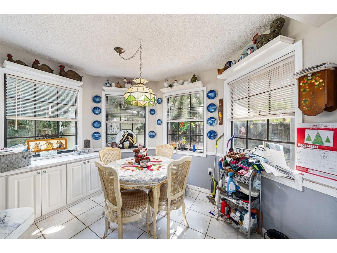 7212 Otter Creek Drive New Port Richey FL 34655 TB8454052 image12