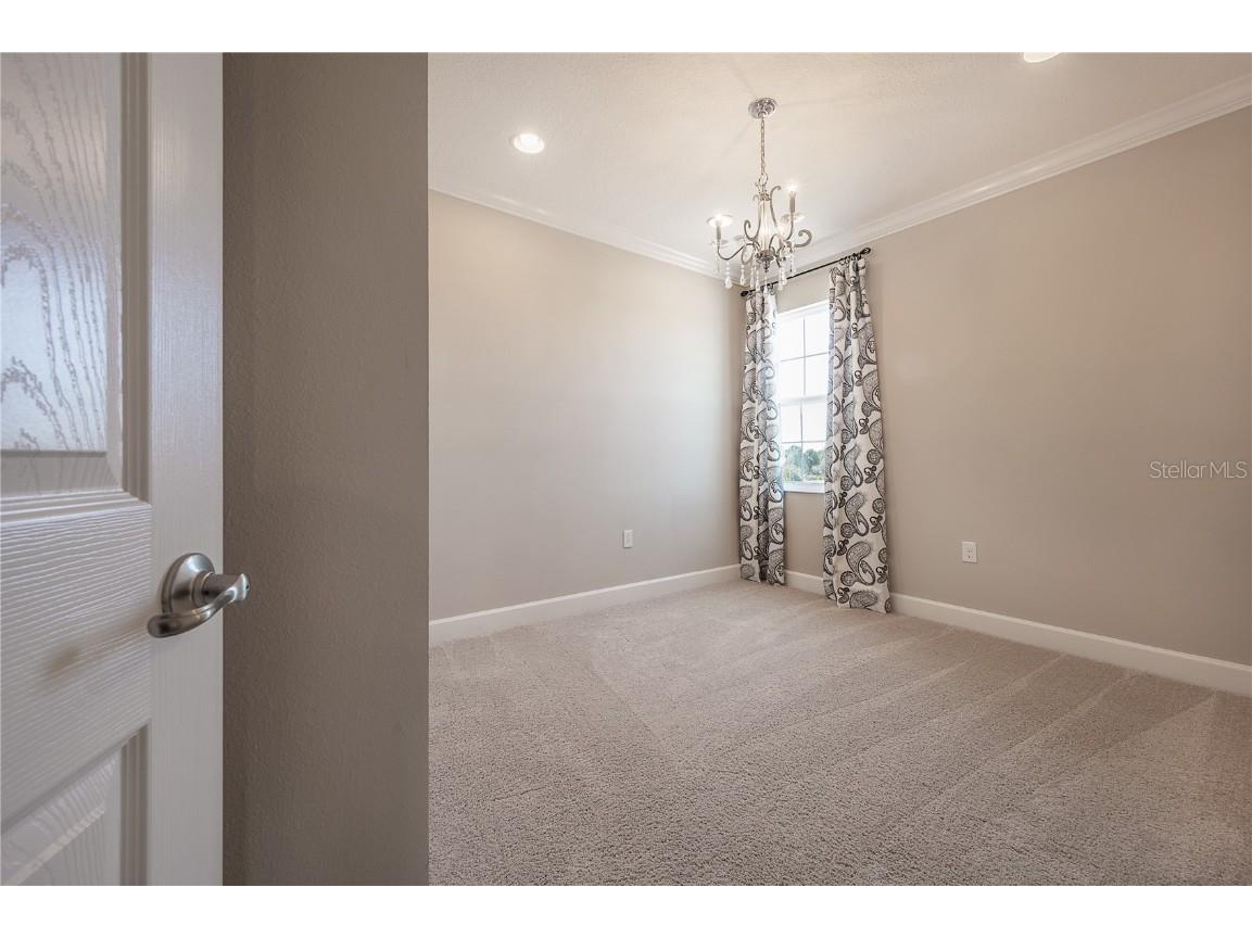 7212 Paradiso Drive Apollo Beach FL 33572 TB8447383 image42