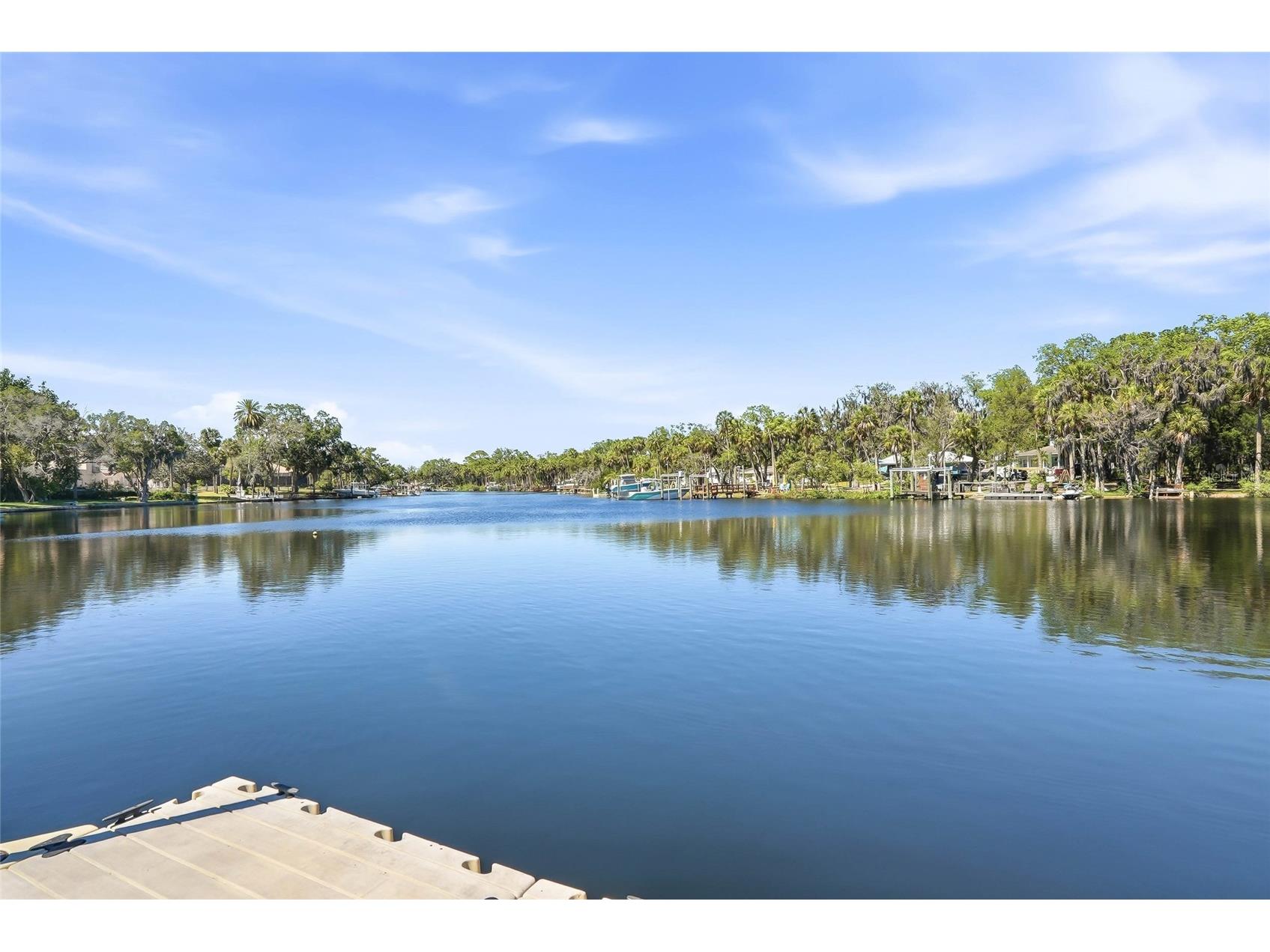 7213 Jasmin Drive New Port Richey FL 34652 TB8506880 image50